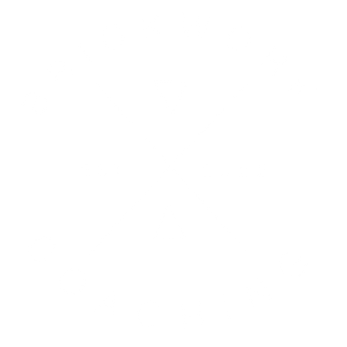 Brickwork Coaching